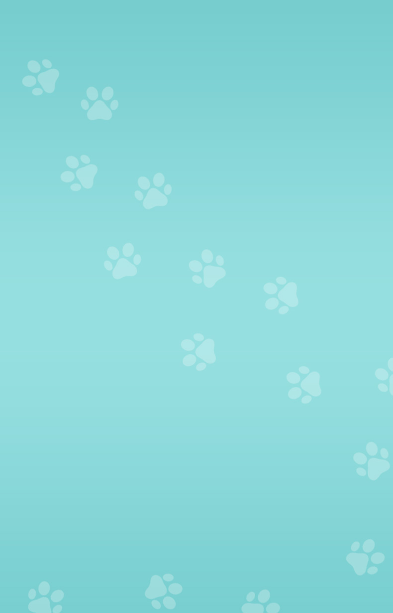 Light blue background with white paw prints 