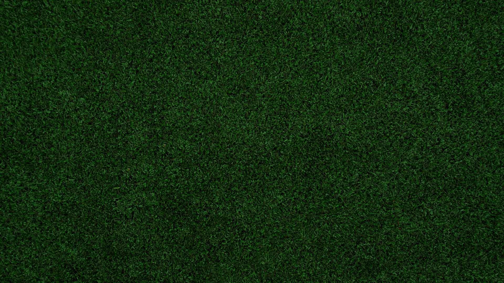 Dark grass field background